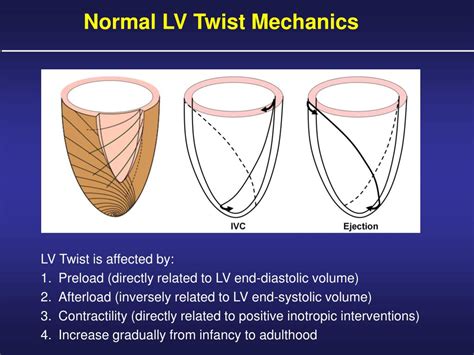 lv twist mechanics